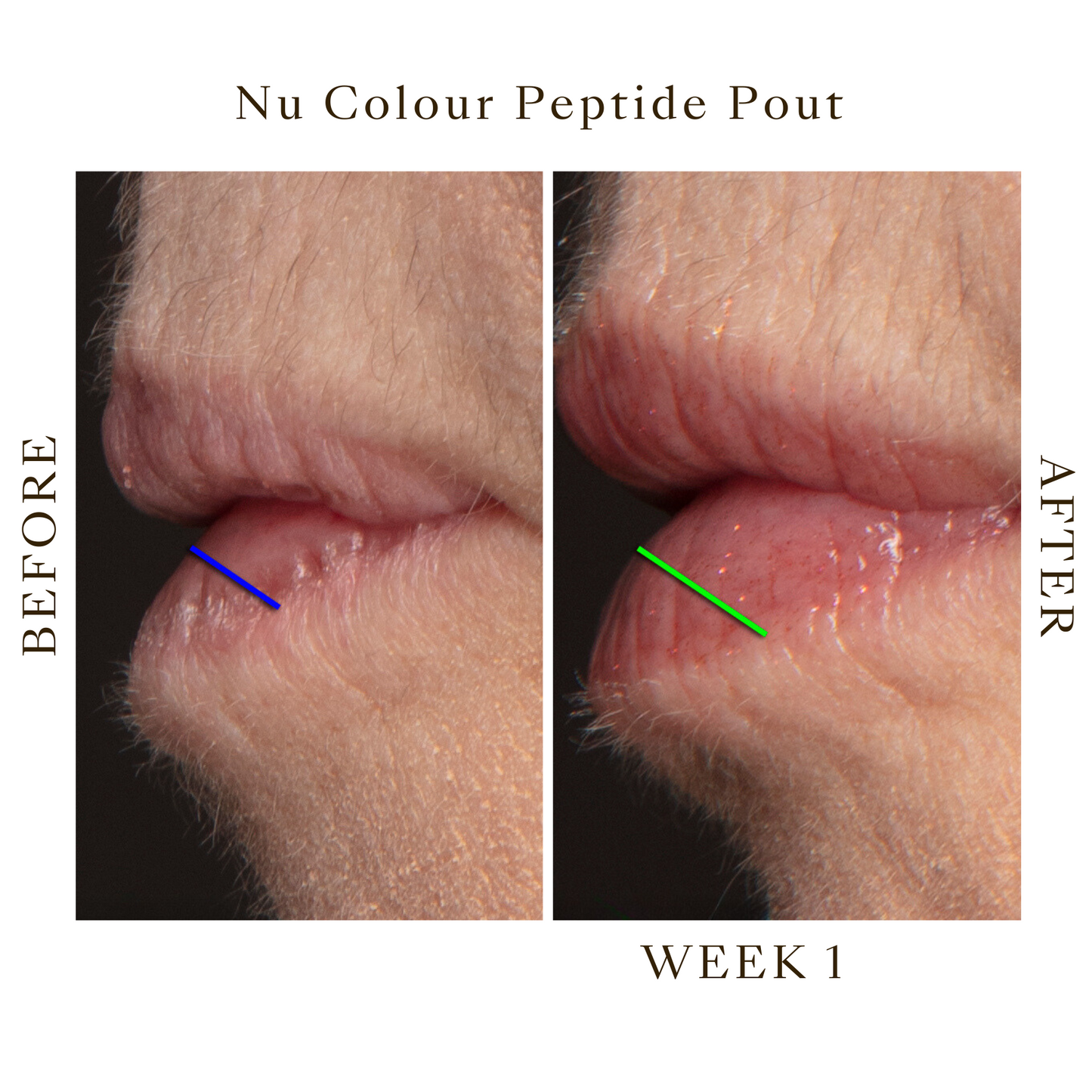 Peptide Pout Lip Balm